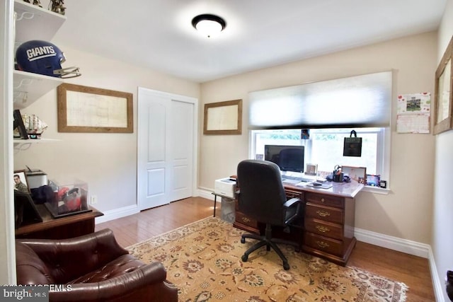 office featuring wood-type flooring