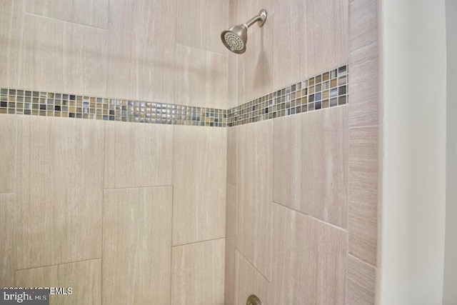 interior details featuring tiled shower