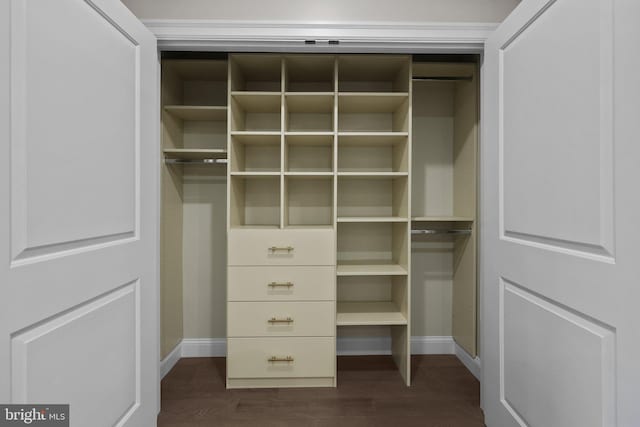 view of closet