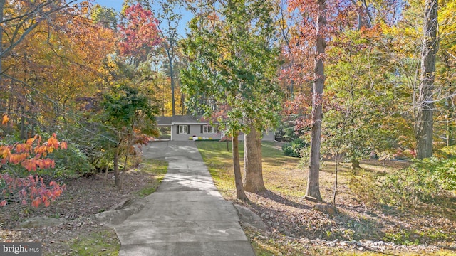 view of property hidden behind natural elements