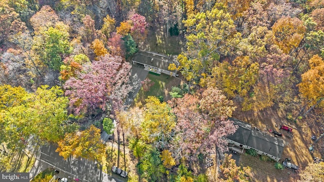 aerial view with a view of trees