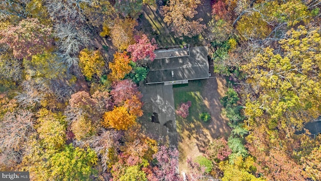 aerial view featuring a forest view