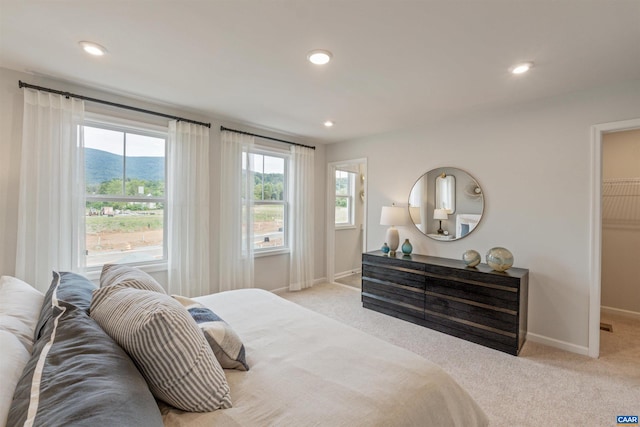 bedroom featuring light colored carpet, a mountain view, a closet, and a spacious closet