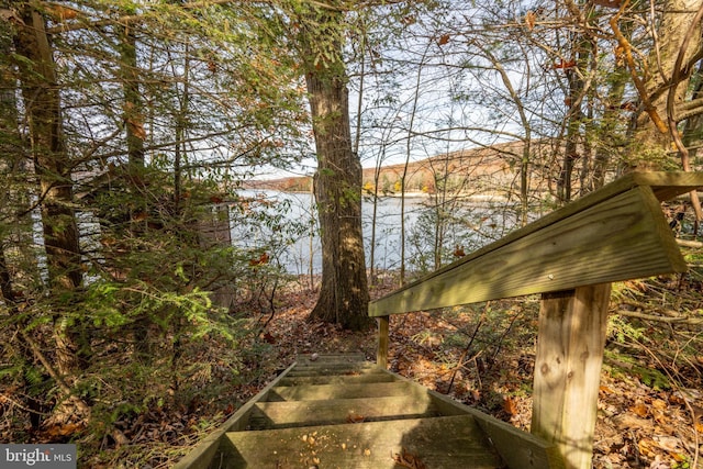 330 State Park Rd, Swanton, MD 21561 - water view