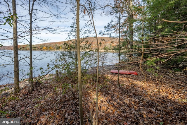 330 State Park Rd, Swanton, MD 21561 - water view featuring a mountain backdrop