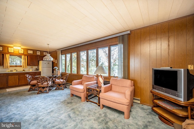 carpeted living room featuring sink, wood walls, and a baseboard radiator