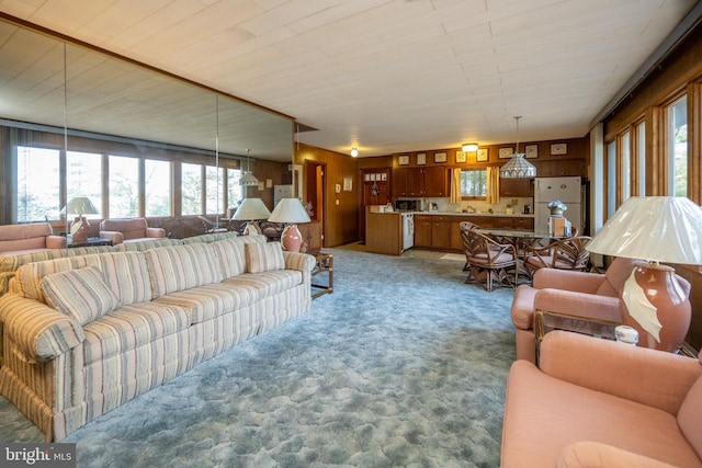 330 State Park Rd, Swanton, MD 21561 - living area featuring light colored carpet and wood walls