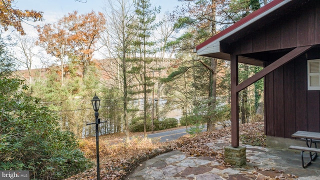 view of yard featuring a patio