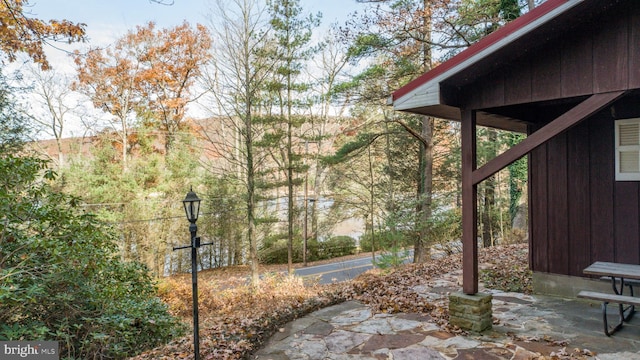 330 State Park Rd, Swanton, MD 21561 - view of yard