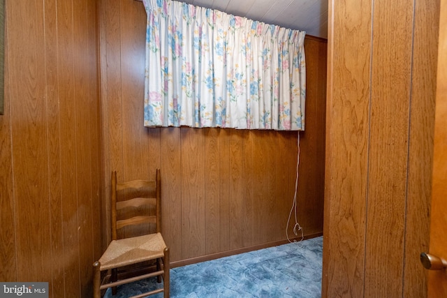 330 State Park Rd, Swanton, MD 21561 - detailed view of carpet flooring and wooden walls