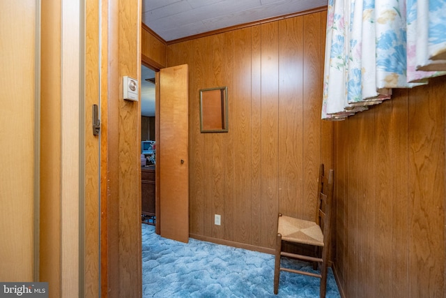 corridor with wooden walls and light carpet