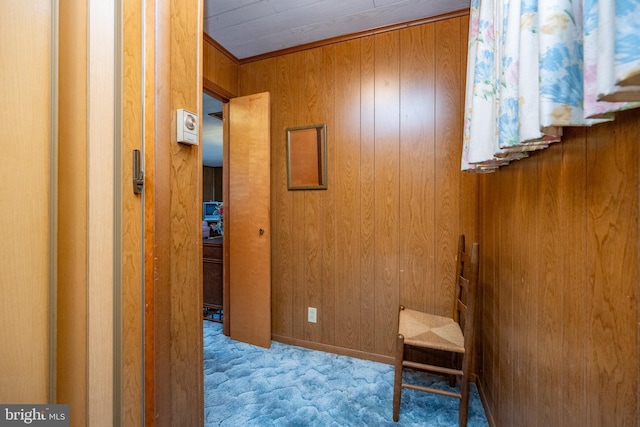 330 State Park Rd, Swanton, MD 21561 - hall featuring wooden walls and carpet floors