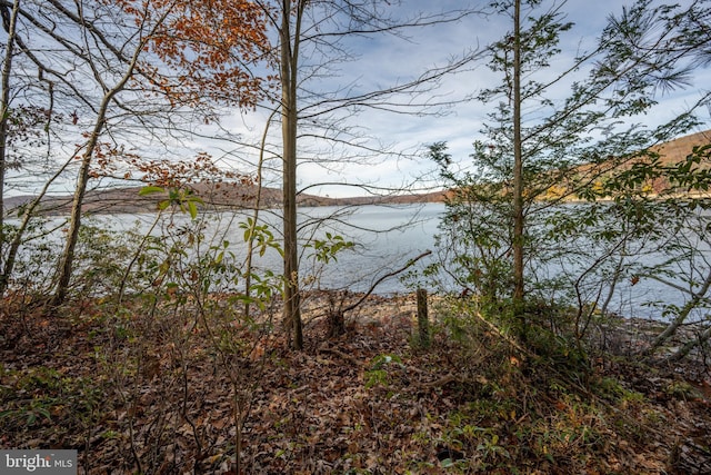 330 State Park Rd, Swanton, MD 21561 - water view