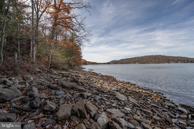 330 State Park Rd, Swanton, MD 21561 - water view