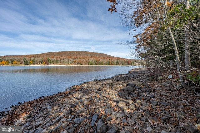 330 State Park Rd, Swanton, MD 21561 - water view featuring a forest