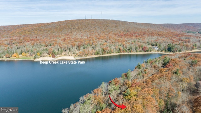 drone / aerial view featuring a water and mountain view