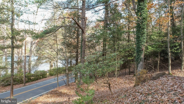 330 State Park Rd, Swanton, MD 21561 - view of asphalt road with a wooded view