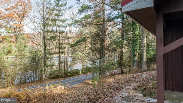 330 State Park Rd, Swanton, MD 21561 - view of yard