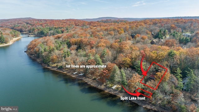 330 State Park Rd, Swanton, MD 21561 - aerial view of property's location with a large body of water and property parcel outlined