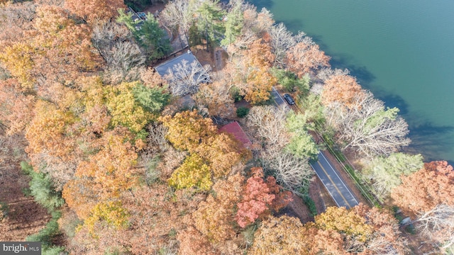 330 State Park Rd, Swanton, MD 21561 - aerial view