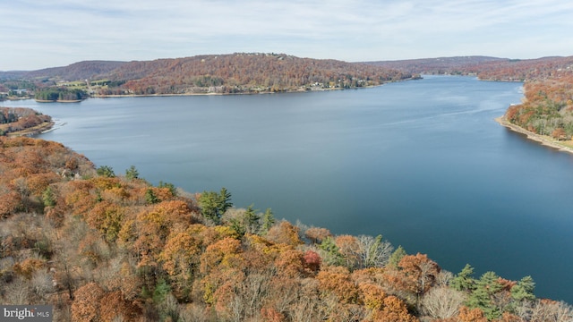 drone / aerial view featuring a water view