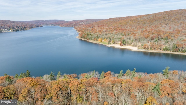 drone / aerial view featuring a water and mountain view