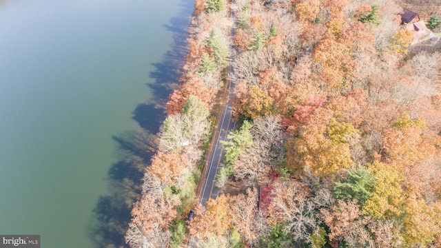 330 State Park Rd, Swanton, MD 21561 - view of property location
