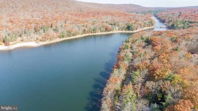 birds eye view of property with a water and mountain view