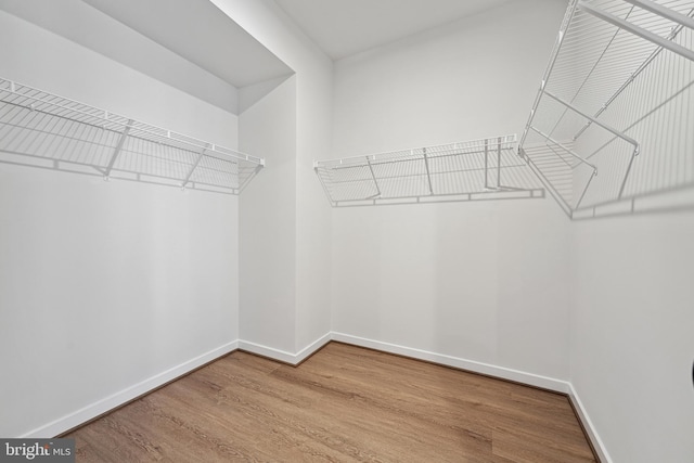 walk in closet with wood-type flooring