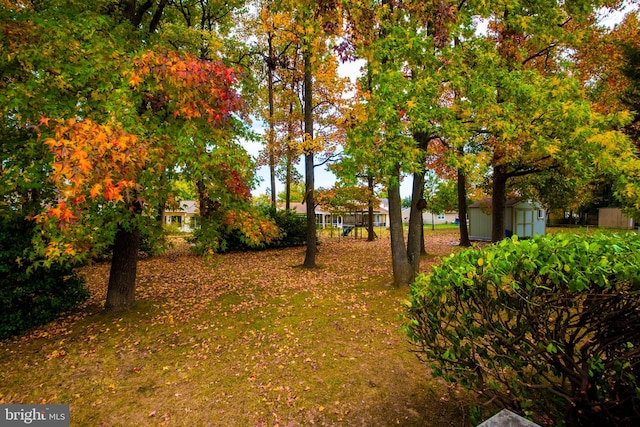 view of yard featuring a storage shed