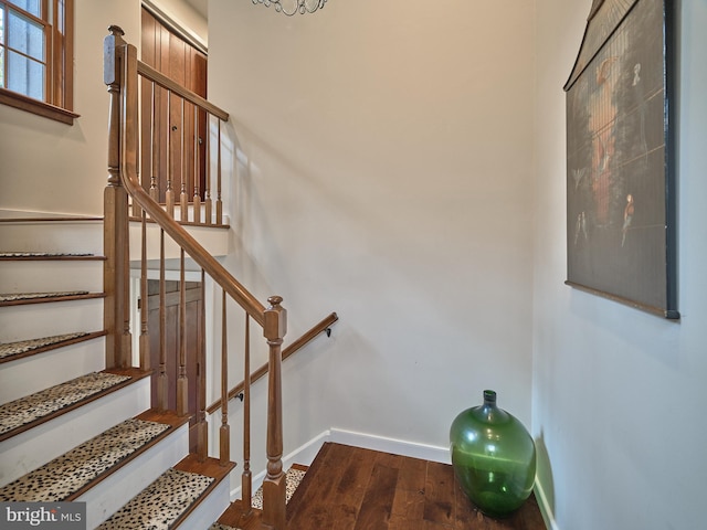 staircase featuring hardwood / wood-style floors