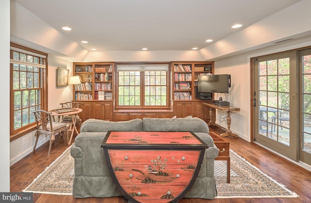 living room featuring dark hardwood / wood-style flooring and plenty of natural light