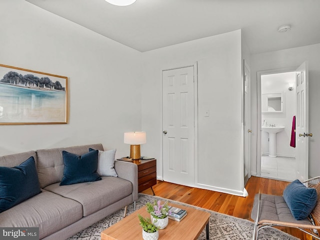 living room with hardwood / wood-style flooring