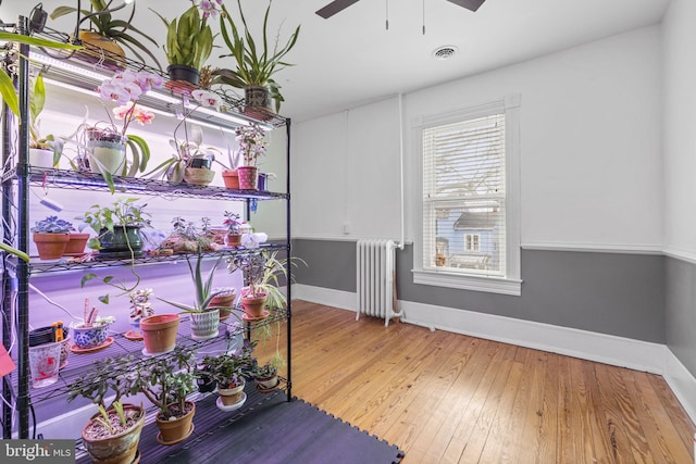 interior space with baseboards, visible vents, a ceiling fan, radiator, and wood finished floors