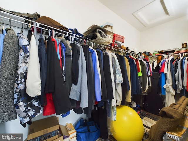 view of walk in closet