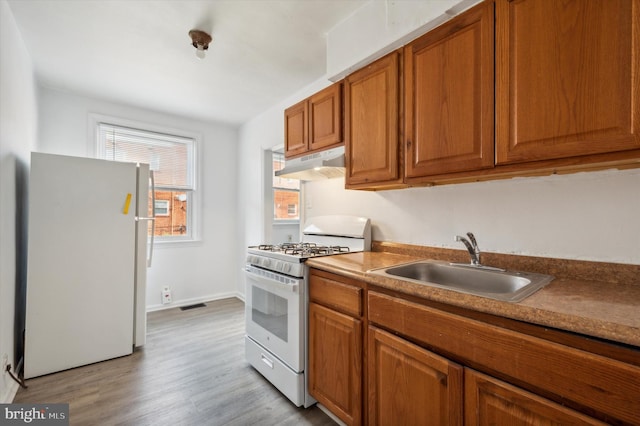 kitchen featuring light hardwood / wood-style flooring, sink, and white appliances