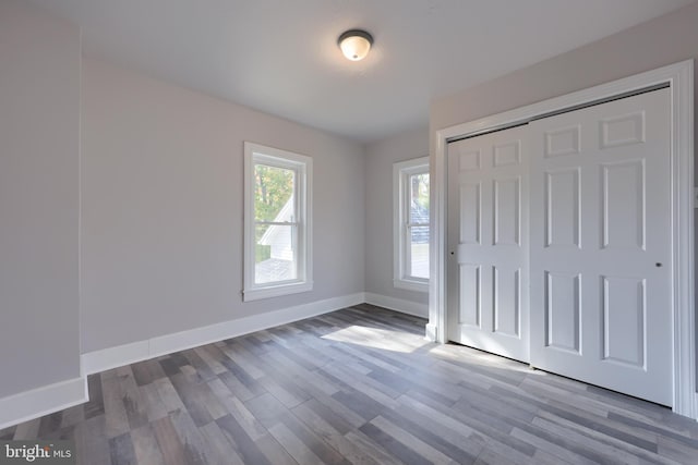 entrance foyer featuring wood-type flooring