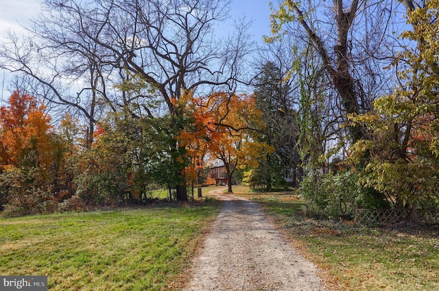 438 Green Spring Rd, York, PA 17403 - view of street with dirt driveway