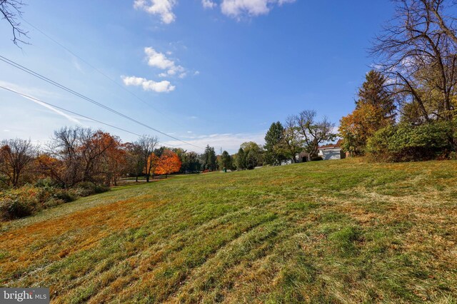 438 Green Spring Rd, York, PA 17403 - view of yard