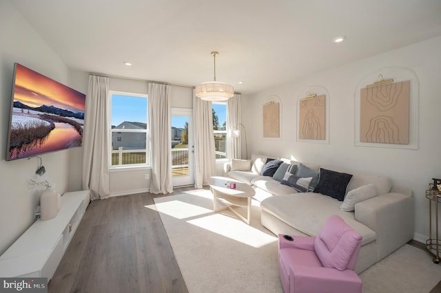 living room featuring hardwood / wood-style flooring