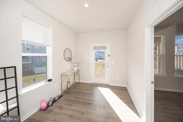 doorway featuring a wealth of natural light and dark hardwood / wood-style floors