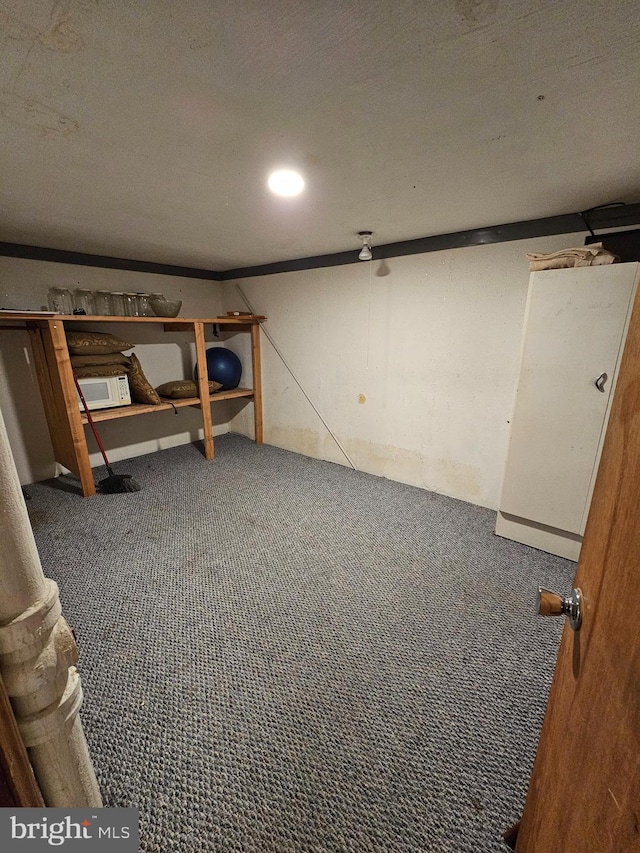 basement featuring a textured ceiling and carpet