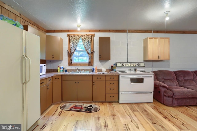 kitchen featuring light hardwood / wood-style floors, a textured ceiling, sink, and white appliances