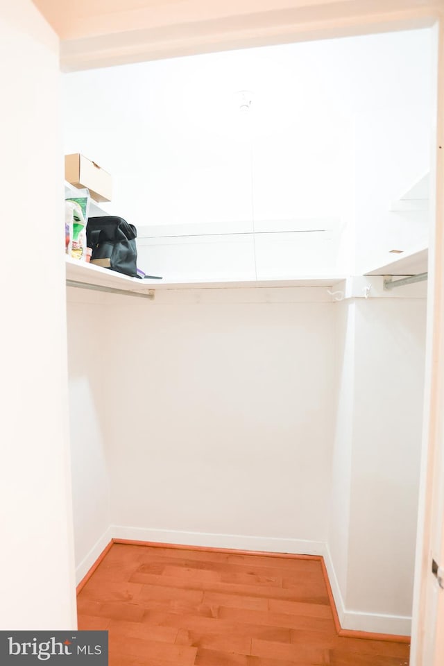 spacious closet featuring light wood-type flooring