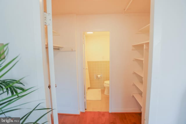 walk in closet featuring wood finished floors