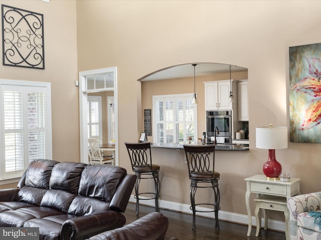 living room with dark hardwood / wood-style flooring