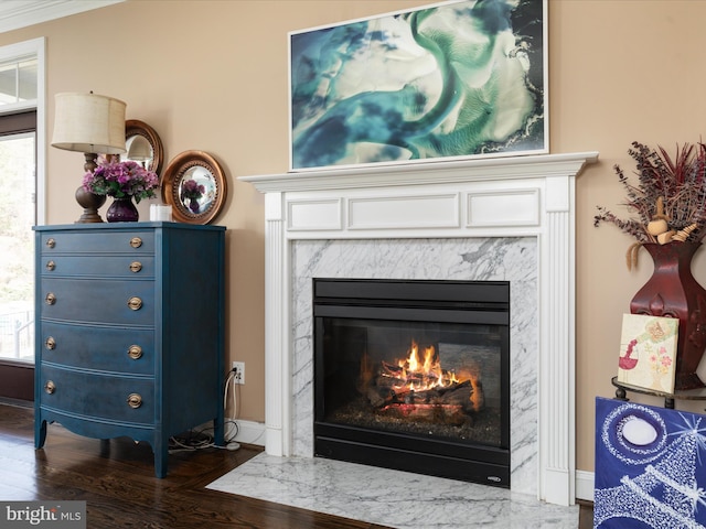 interior details featuring crown molding, wood-type flooring, and a fireplace