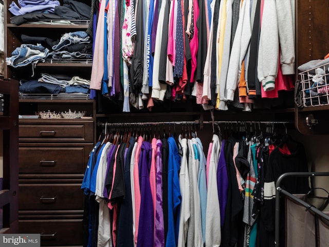 view of spacious closet