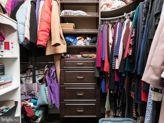 view of spacious closet