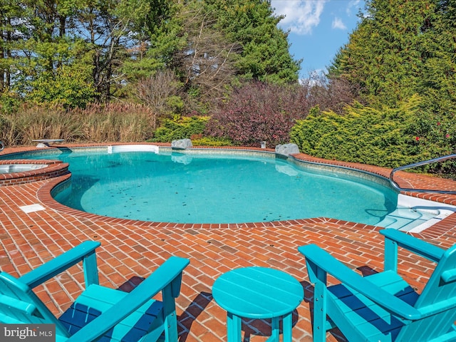 view of swimming pool featuring a patio area, an in ground hot tub, and a diving board